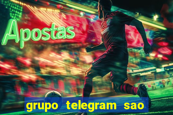 grupo telegram sao jose do rio preto